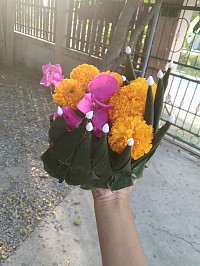 กระทง🌷